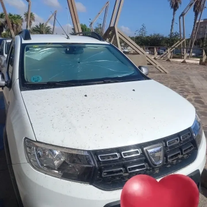 תמונה מהביקורת של נועה